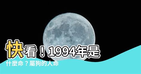 1994狗|屬狗人：1994年是什麼命？准爆了！